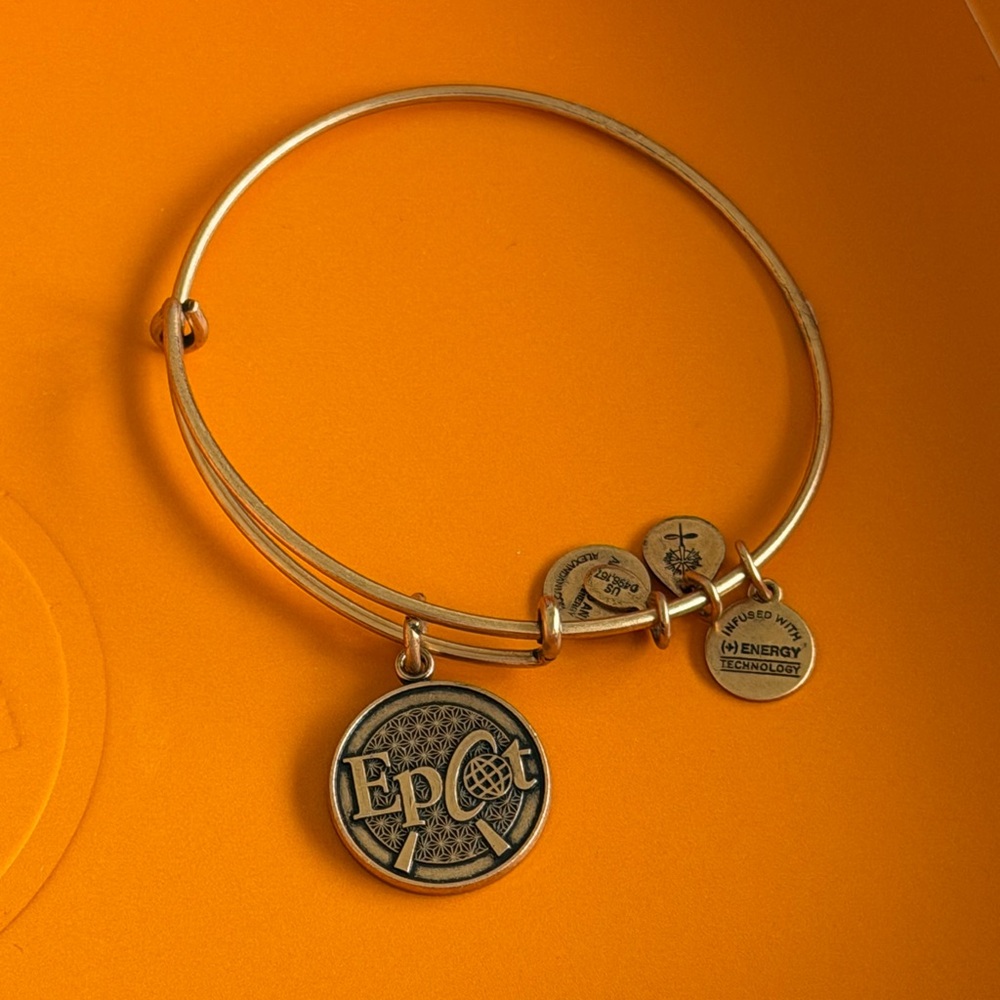 Disney Epcot Alex and Ani Bracelet